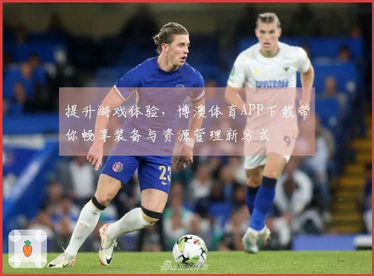 提升游戏体验，博澳体育APP下载带你畅享装备与资源管理新方式