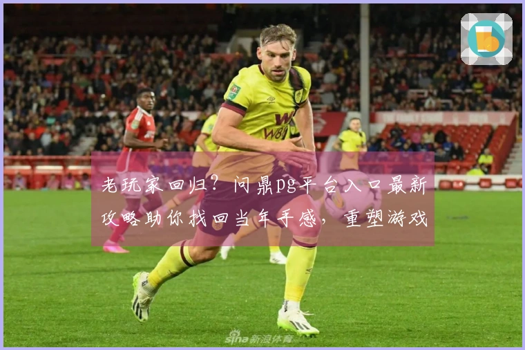 老玩家回归？问鼎pg平台入口最新攻略助你找回当年手感，重塑游戏荣耀