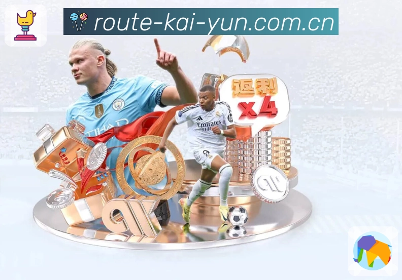 开云体育使用引导